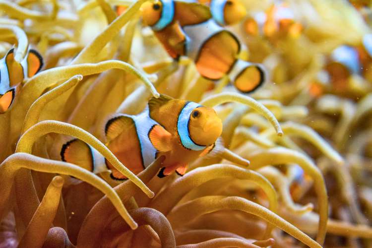 Visitez les attractions incontournables de Monaco – Accès rapide, activités sélectionnées et moments inoubliables en 2025 Découvrez les meilleures attractions de Monaco – Coupe‑file, sites emblématiques et meilleures expériences en 2025